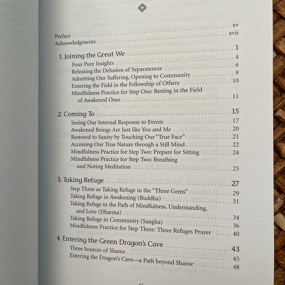 Mindfulness and the 12 Steps : Living Recovery in the Present Moment by Thérèse - Picture 5 of 14